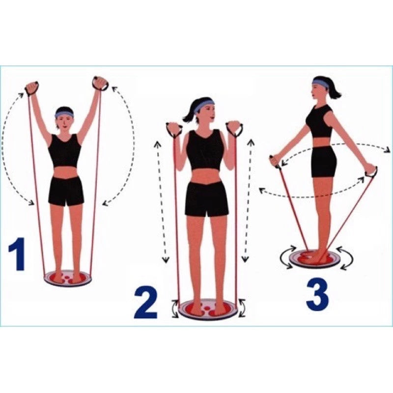 Waist Twisting Disc