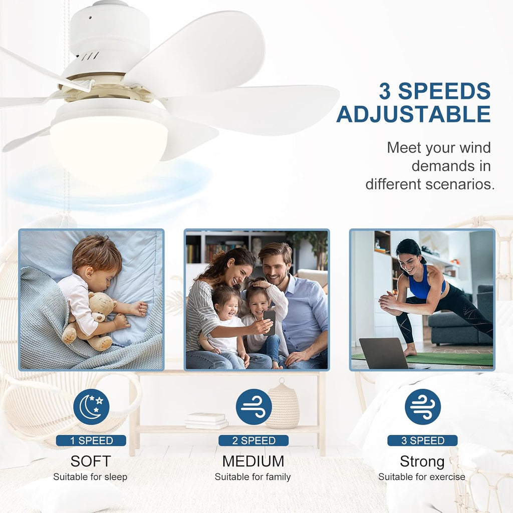 2-in-1 LED Quiet Ceiling Fan with Remote Control