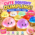 8.5cm Squishy Mystery Dumpling Toy