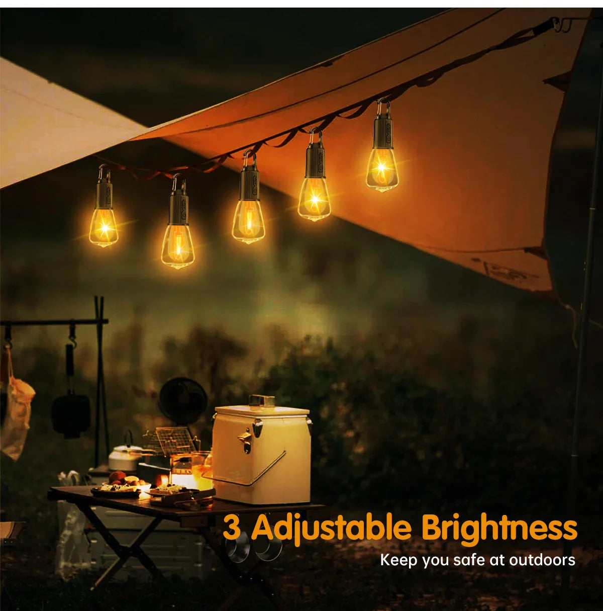 Rechargeable Dimmable Vintage Light Bulbs