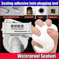 Waterproof Sealant Mud