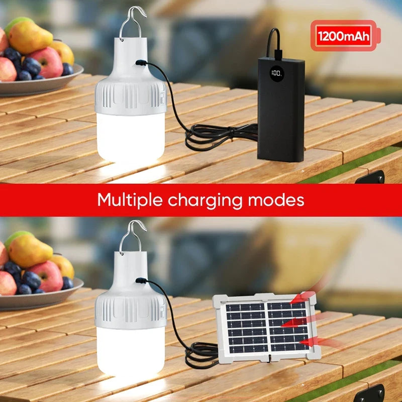 Solar Emergency Bulb w/ Panel