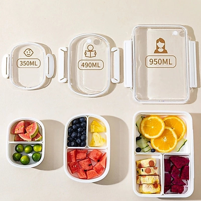 MULTI-COMPARTMENT BENTO LUNCH BOX