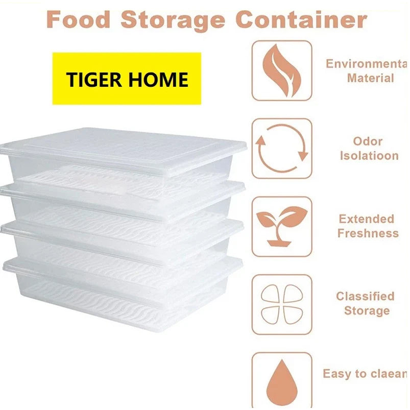 BUY 1 TAKE 3 | Rectangular Food Container with Drain Plate