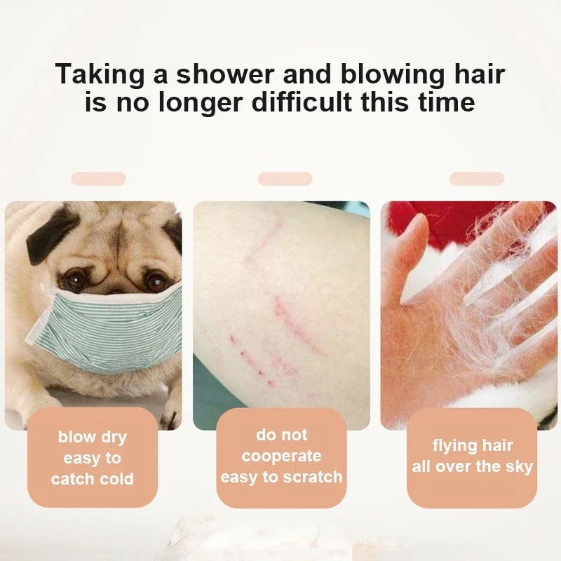 2-in-1 Pet Grooming Dryer