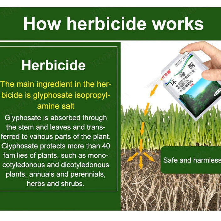 500g Long Lasting Herbicide Granules 5% Cyclozinone Poisonous Grass Powder for Wild Grass