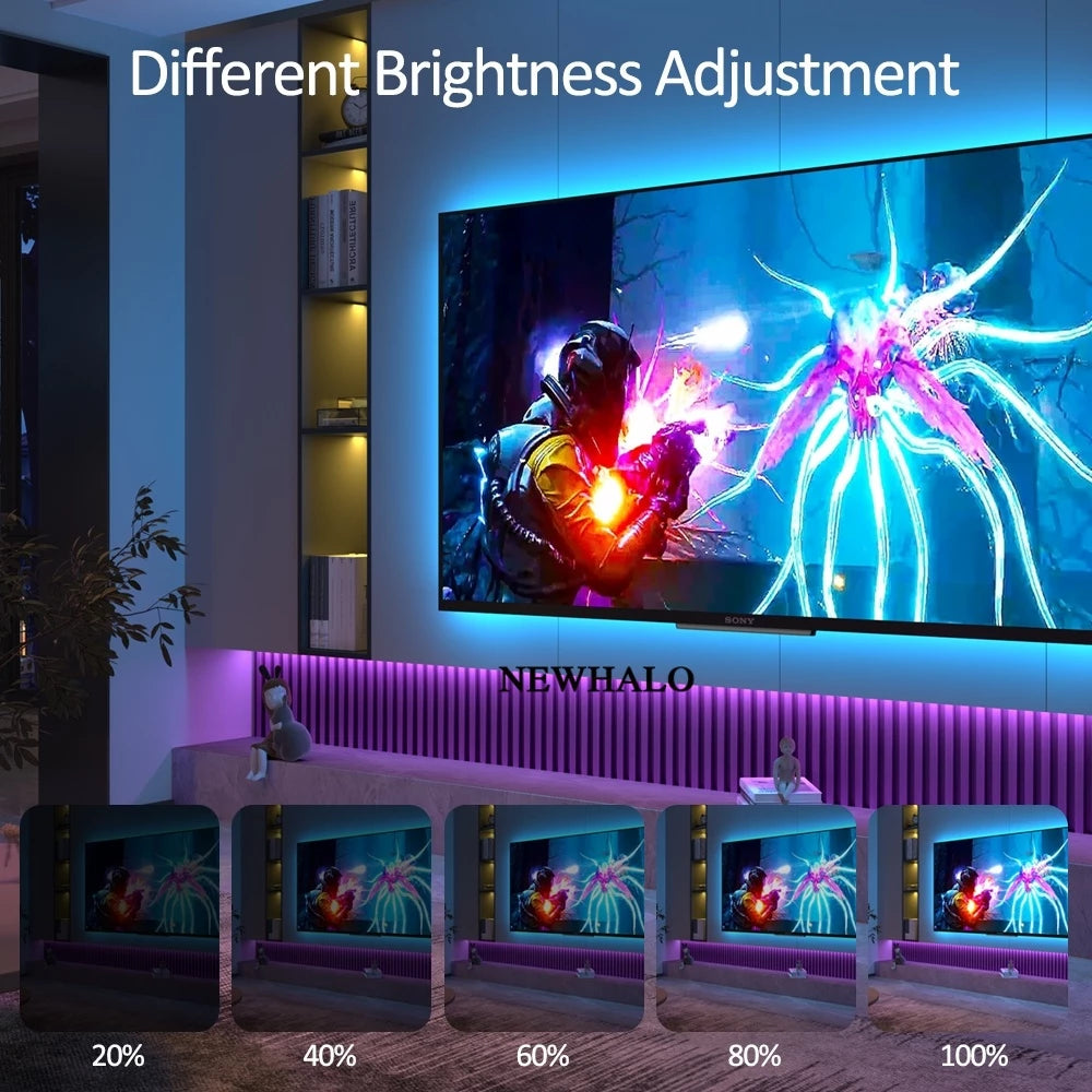 2835 RGB LED Strip Light with Remote Control