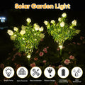 Solar Powered Gardenia Flower Lights