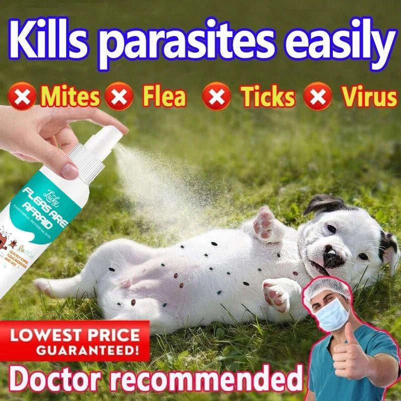 Flea and Tick Killer Spray