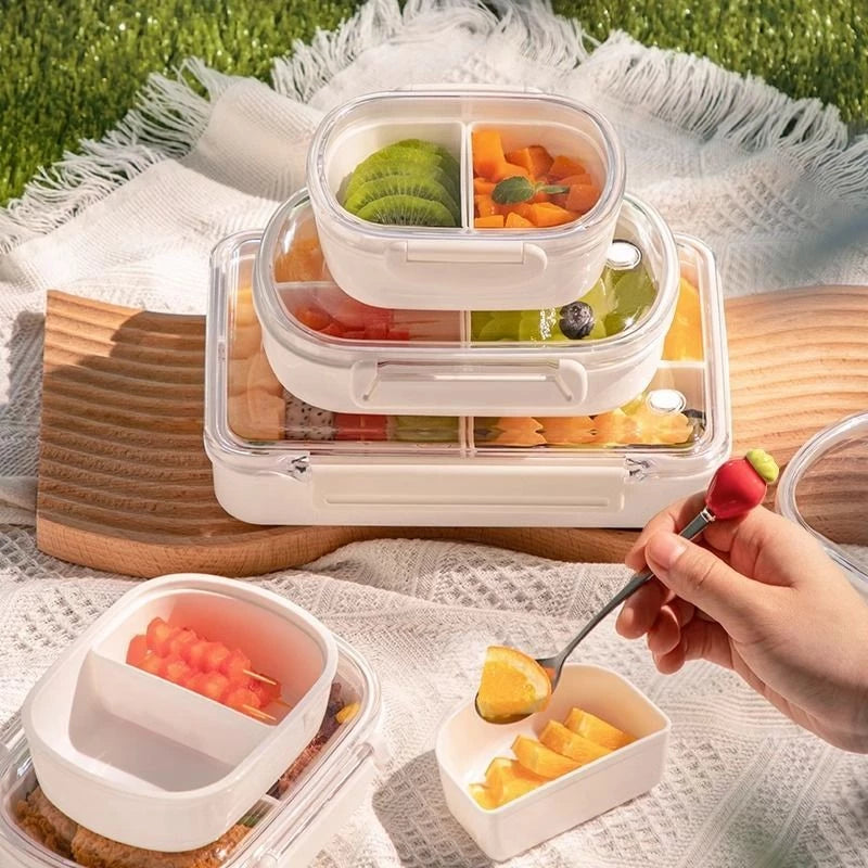 MULTI-COMPARTMENT BENTO LUNCH BOX