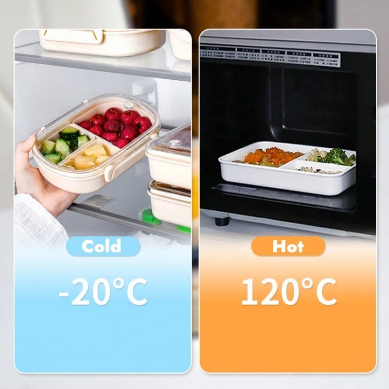 MULTI-COMPARTMENT BENTO LUNCH BOX