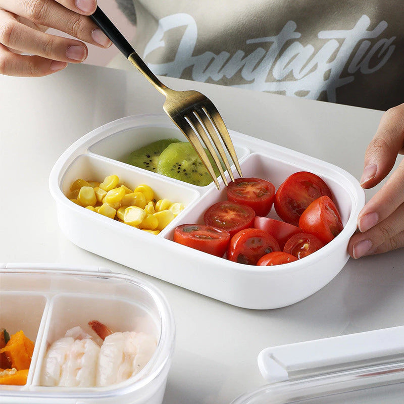 MULTI-COMPARTMENT BENTO LUNCH BOX