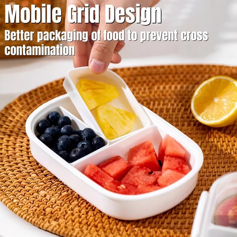 MULTI-COMPARTMENT BENTO LUNCH BOX