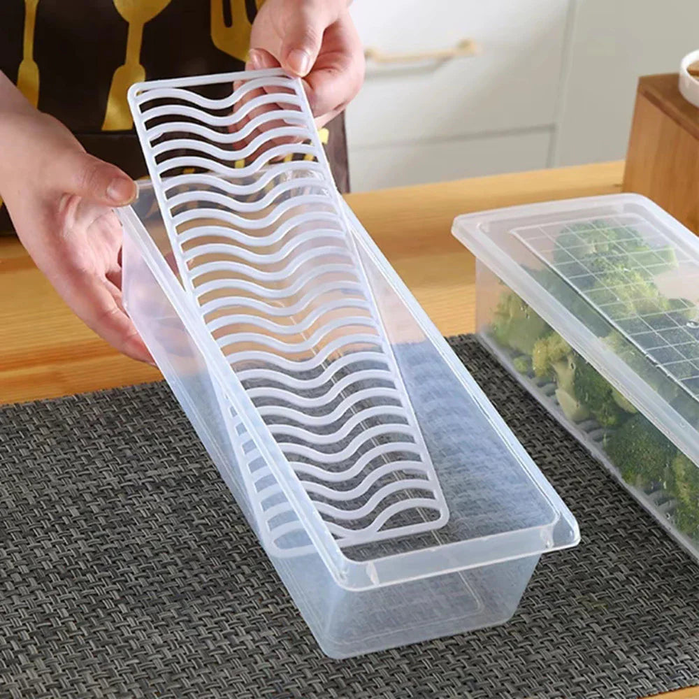 BUY 1 TAKE 3 | Rectangular Food Container with Drain Plate